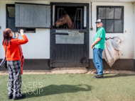 NH220326-46 - Nicky Henderson Stable Visit